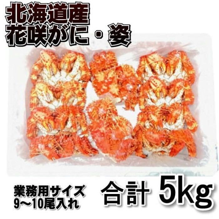 【訳あり】花咲がに　5ｋｇ(9-10尾入れ)　業務用サイズ　ボイル　北海道産　はなさきがに　ハナサキ　蟹　冷凍　はなさき