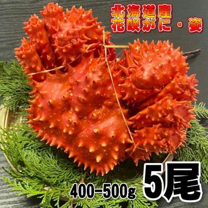 【訳あり】花咲がに　5尾（約400－500ｇサイズ）　ボイル　北海道産　花咲ガニ　かに　蟹　はなさきがに　冷凍