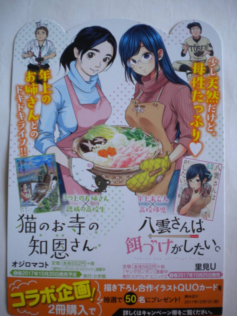 レア 八雲さんは餌づけがしたい X 猫のお寺の知恩さん ポップ POP 非売品 _画像1