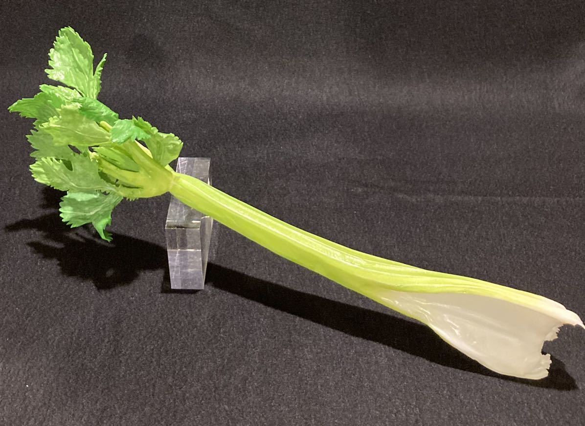 食品サンプル セロリ polomicroalghe.it