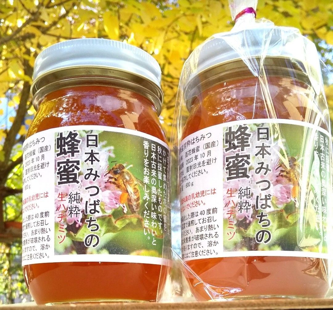 日本蜜蜂(秋採れ2年熟成生ハチミツ)170g 純粋蜂蜜 非加熱 r1JdIfECpF