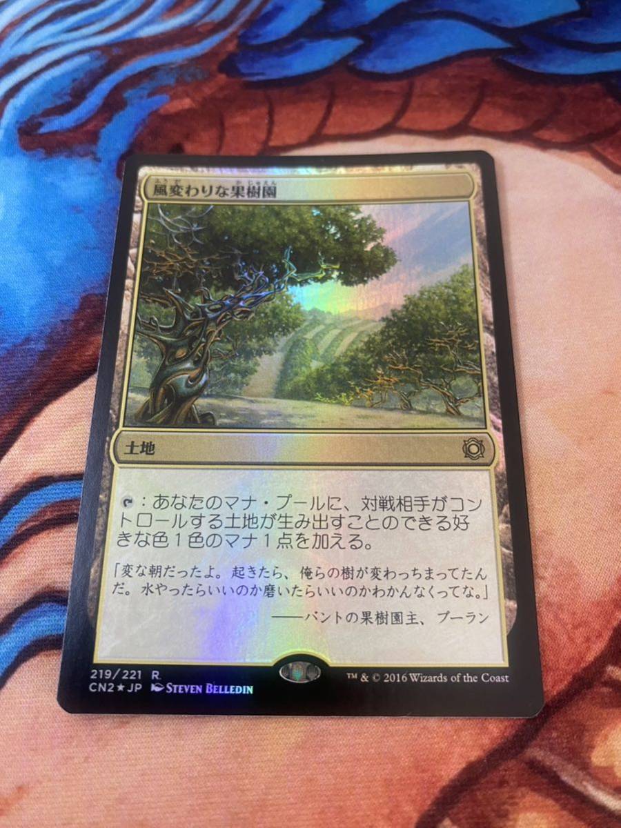 風変わりな果樹園/Exotic Orchard 日本語 FOIL コンスピラシー:王位争奪 MTG マジックザギャザリング ネコポス送料無料 _画像1