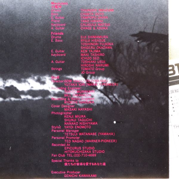 # tea ge&. bird l. manner <LP 1981 year obi attaching * Japanese record >2nd album [ ten thousand .. river ] compilation 