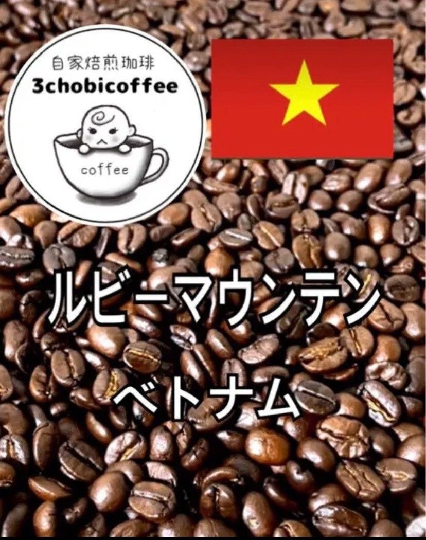 人気新品 コーヒー豆 ゲイシャ ドリップパック １２個 自家焙煎 珈琲 こまくさ珈琲