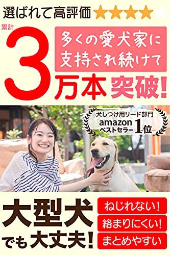 SRT ロングリード 丸ロープ 15m レッド【4色展開】 軽量 水に浮く 絡まりにくい 中型犬 大型犬 伸縮性 トレーニングリード しつけ_画像2