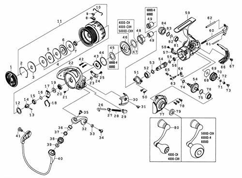 ダイワ(DAIWA) 純正パーツ 18 ブラスト LT5000D-CXH スプール 部品番号 11 部品コード 128C81 00065103128C81_画像2