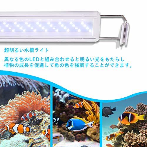 LEDGLE 水槽ライト 8W アクアリウム ライト 30～40CM水槽対応 40LED(5青35白) LED 魚ライト_画像6