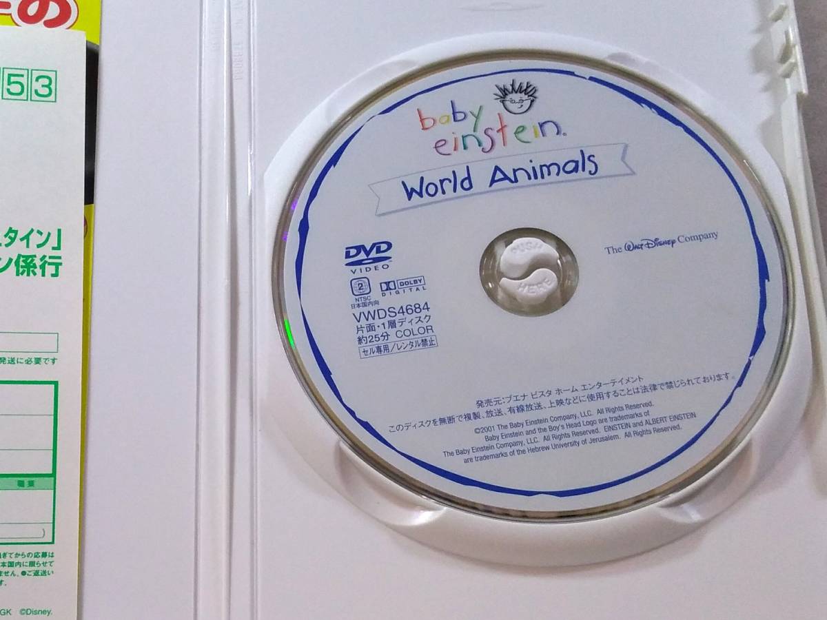 DVD#1145 ワールド・アニマルズ 1才～ Baby Einstein World Animals_画像3