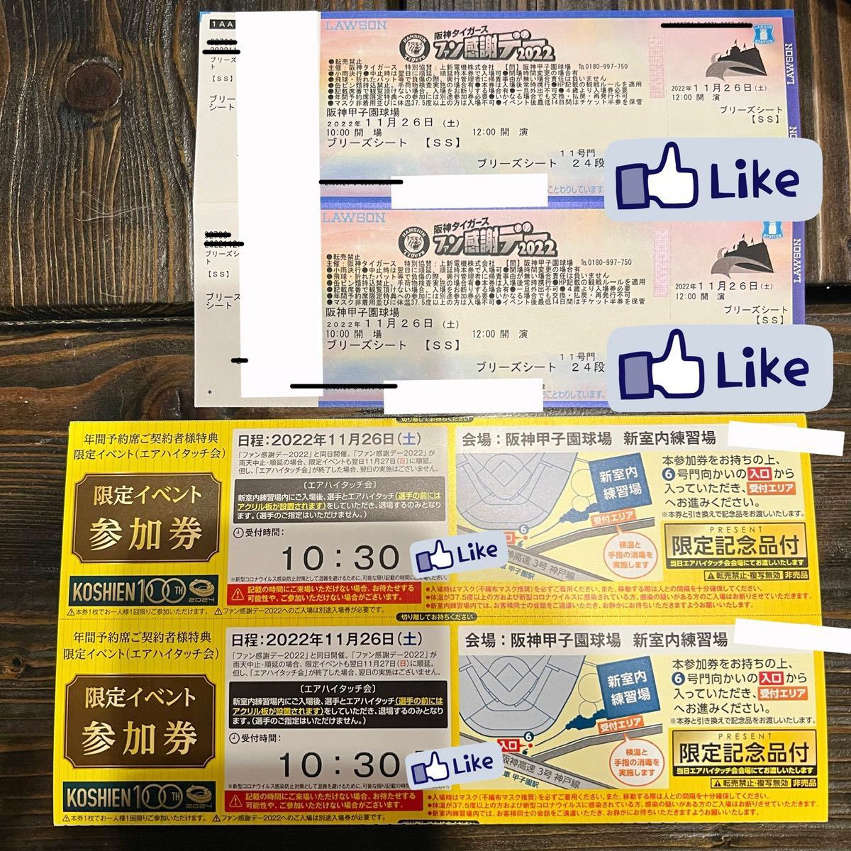 阪神タイガース ファン感謝デー チケット＋エアハイタッチ会参加券