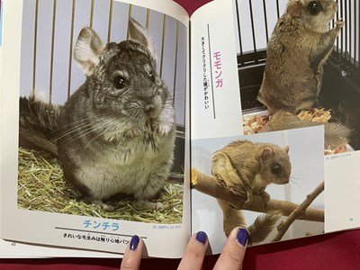 sVV 1997 year hamster rabbit * squirrel etc.. .. person Junior library . beautiful . publish publication / L24