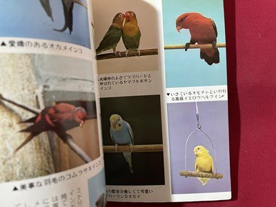 ｓ▼▼　昭和53年　初めての人でも手乗りにできる インコの飼い方ふやし方　実吉達郎　日本文芸社　書籍　　/　L25_画像3