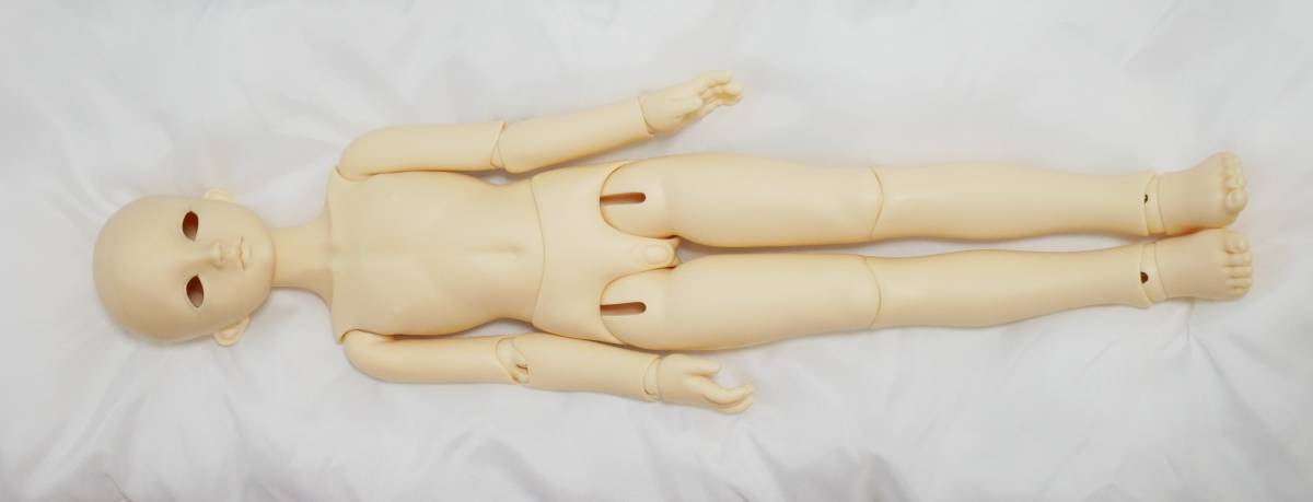 【再入荷!】 数量限定】 DD/DDH-28 I-24-12-22-1052-TO-ZI カスタムヘッド 本体