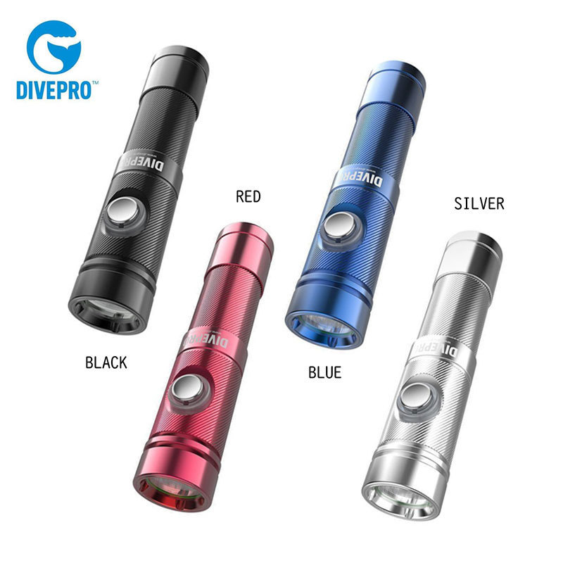 最安値に挑戦】 DIVEPRO(ダイブプロ)S10 1000ルーメン 6500K