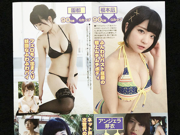 切り抜き 2P■星名美津紀・結城ちか・清水あいり・アンジェラ芽衣・RaMu・根本凪・園都/アイドル/水着・ビキニ　F12_画像5