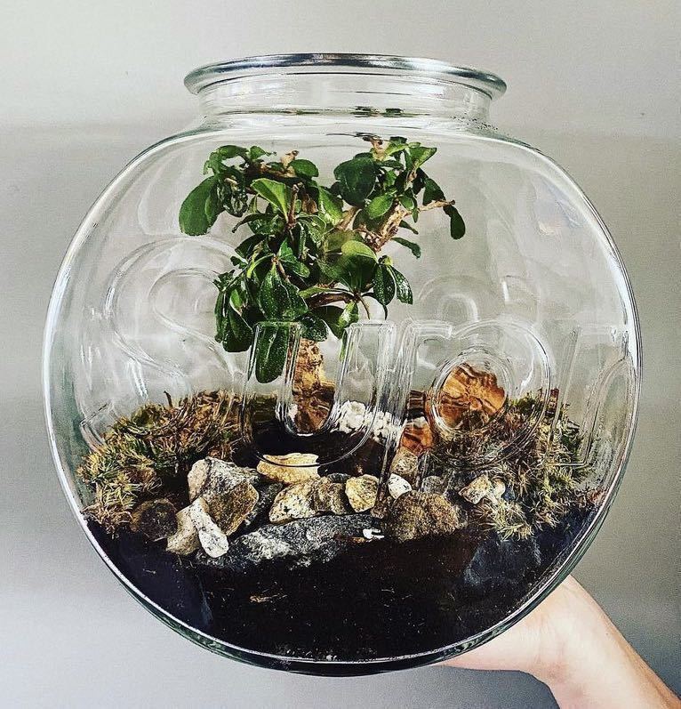 Yahoo!オークション - Supreme Fish Bowl 国内正規品 Yahoo!オークション - Supreme Fish Bowl 国内正規品