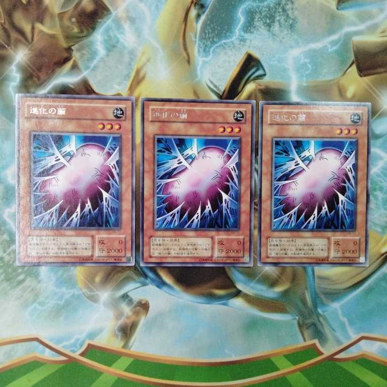 遊戯王進化の繭RB 3枚セット- JChere雅虎拍卖代购