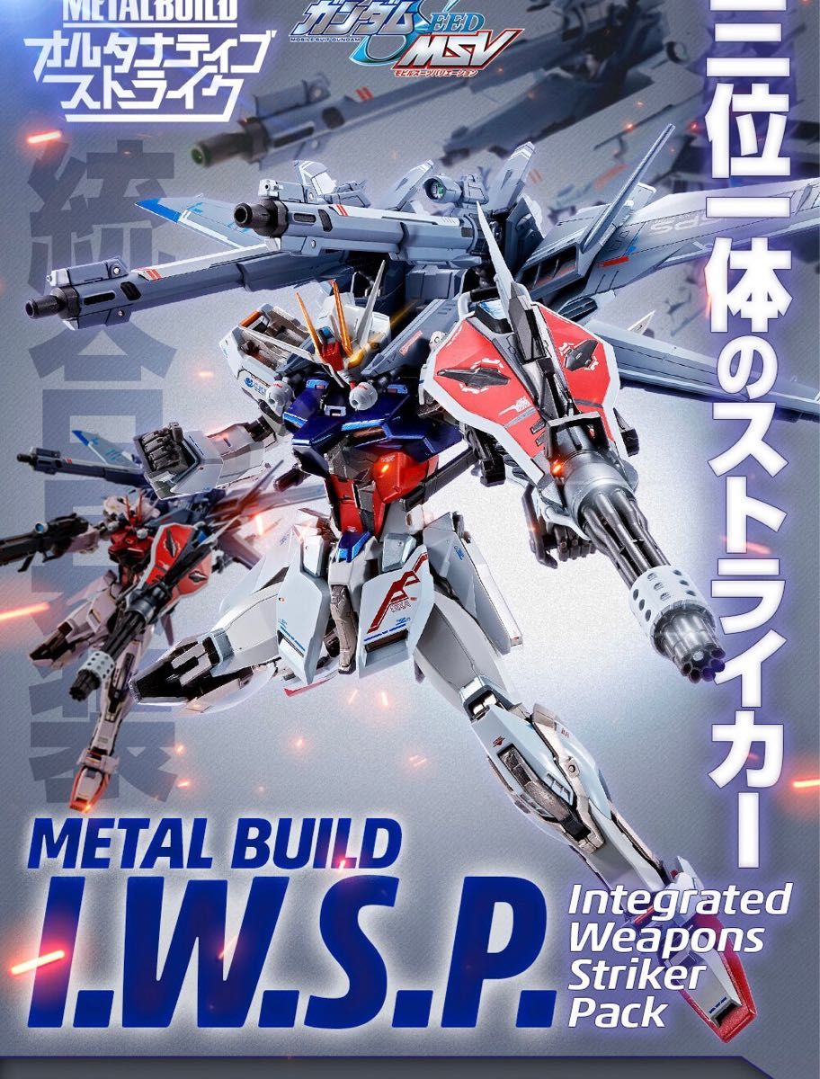 METAL BUILD I.W.S.P. 機動戦士ガンダムSEED オルタナティブストライク　伝票無し