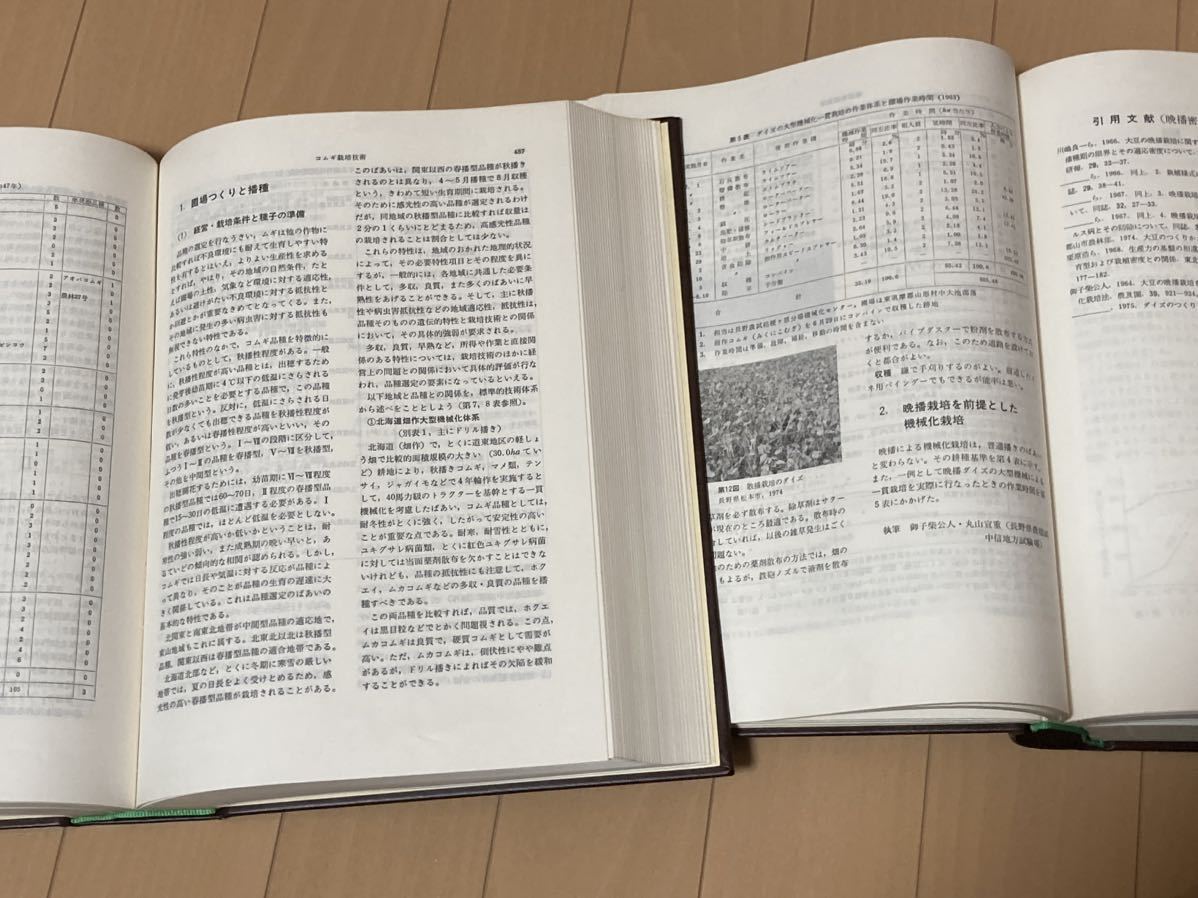 畑作全書 マメ ムギ 農文協 農業技術 農学 豆 麦 畑作全書 マメ ムギ 農文協 農業技術 農学 豆 麦