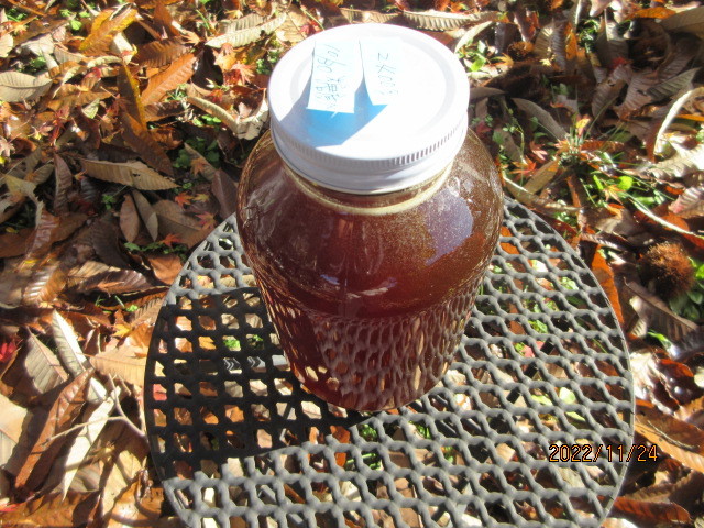 日本蜜蜂の純粋天然百花黒ハチミツ 10月採蜜 2400g 非加熱 糖度 日本蜜蜂の純粋天然百花黒ハチミツ 10月採蜜 2400g 非加熱 糖度