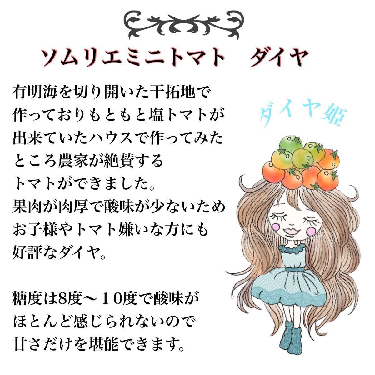 雪うさぎ様専用|Yahoo!フリマ(旧PayPayフリマ)