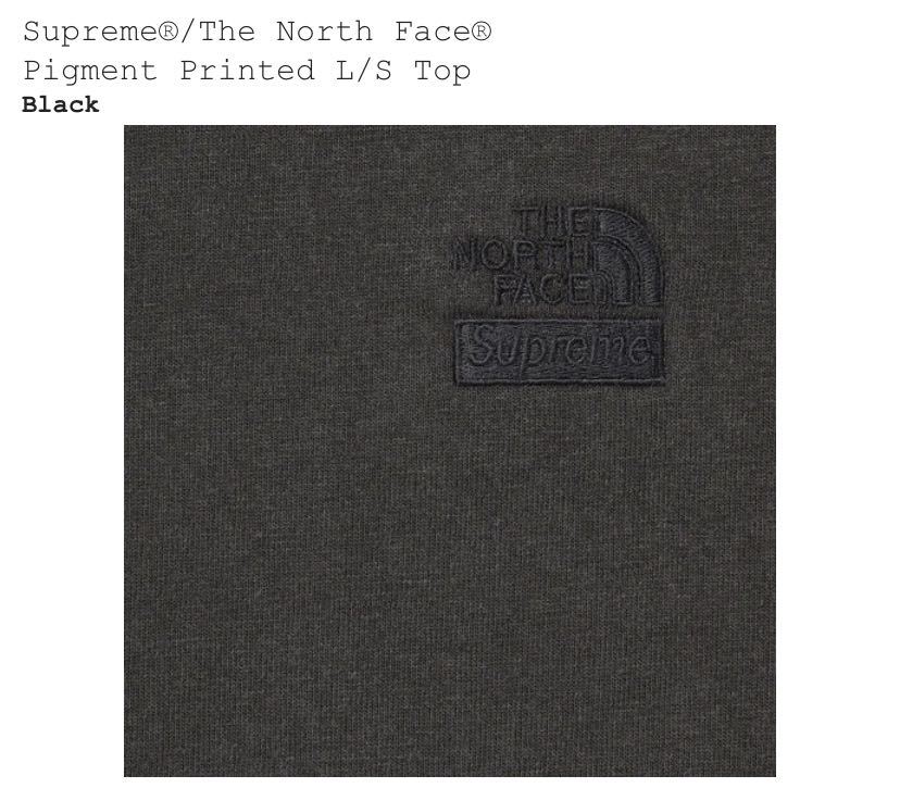 Supreme North FacePigment L Printed S