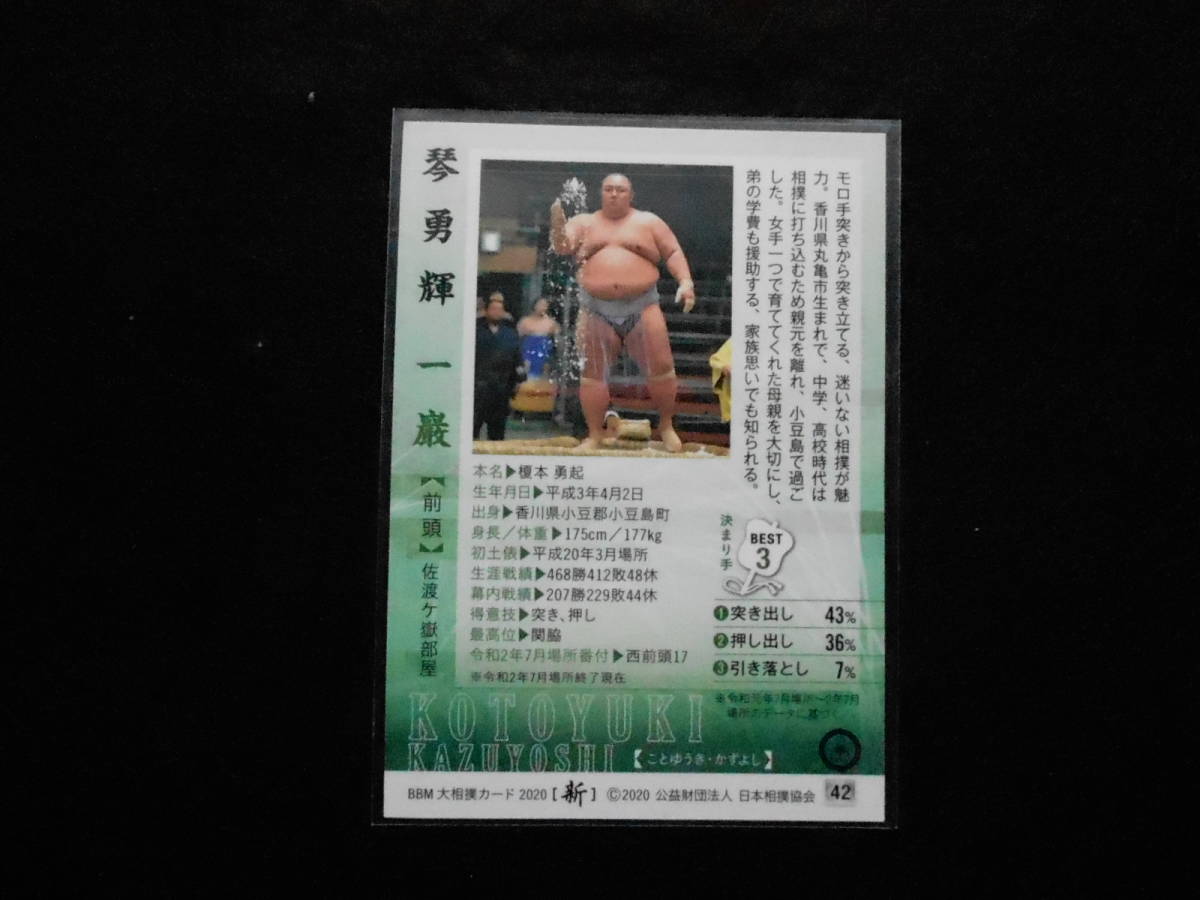 BBM2020大相撲カード新　琴勇輝_画像2