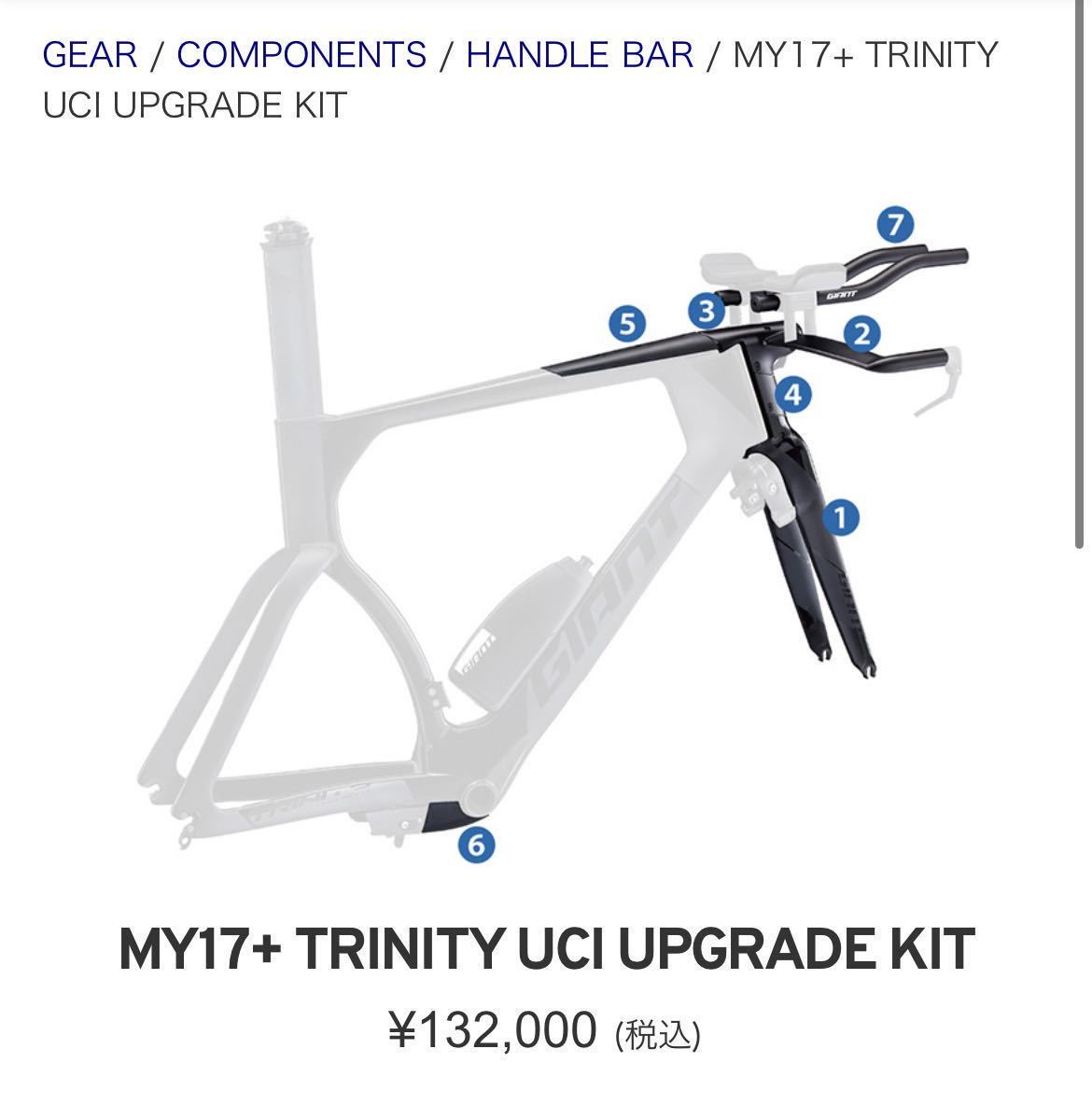 プロチーム支給品　 GIANT trinity TTバイクフロントフォークキット