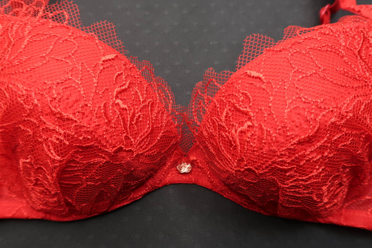 1Y* D65to Lynn p bra FLORALEfrola-re high class line Cosmos . flower red red series 