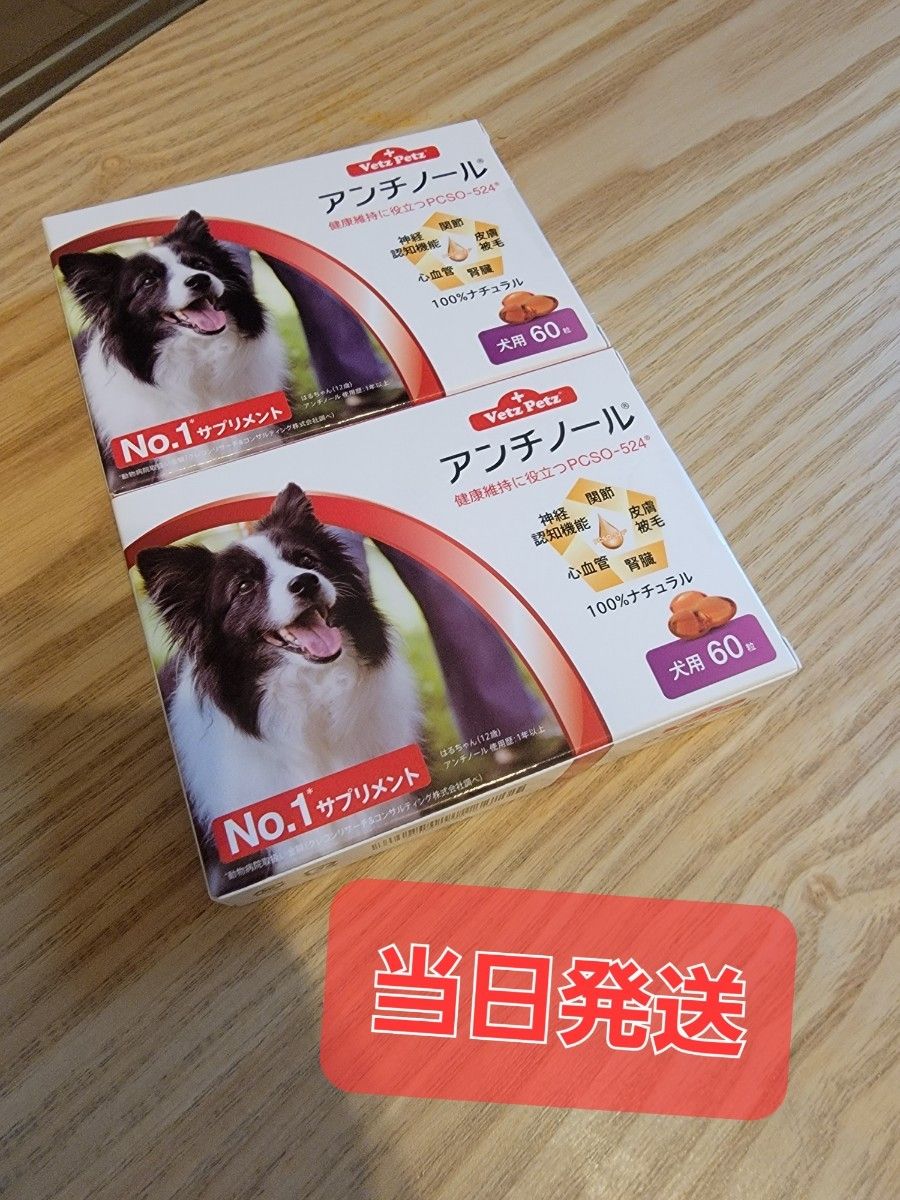 アンチノール×2箱|PayPayフリマ