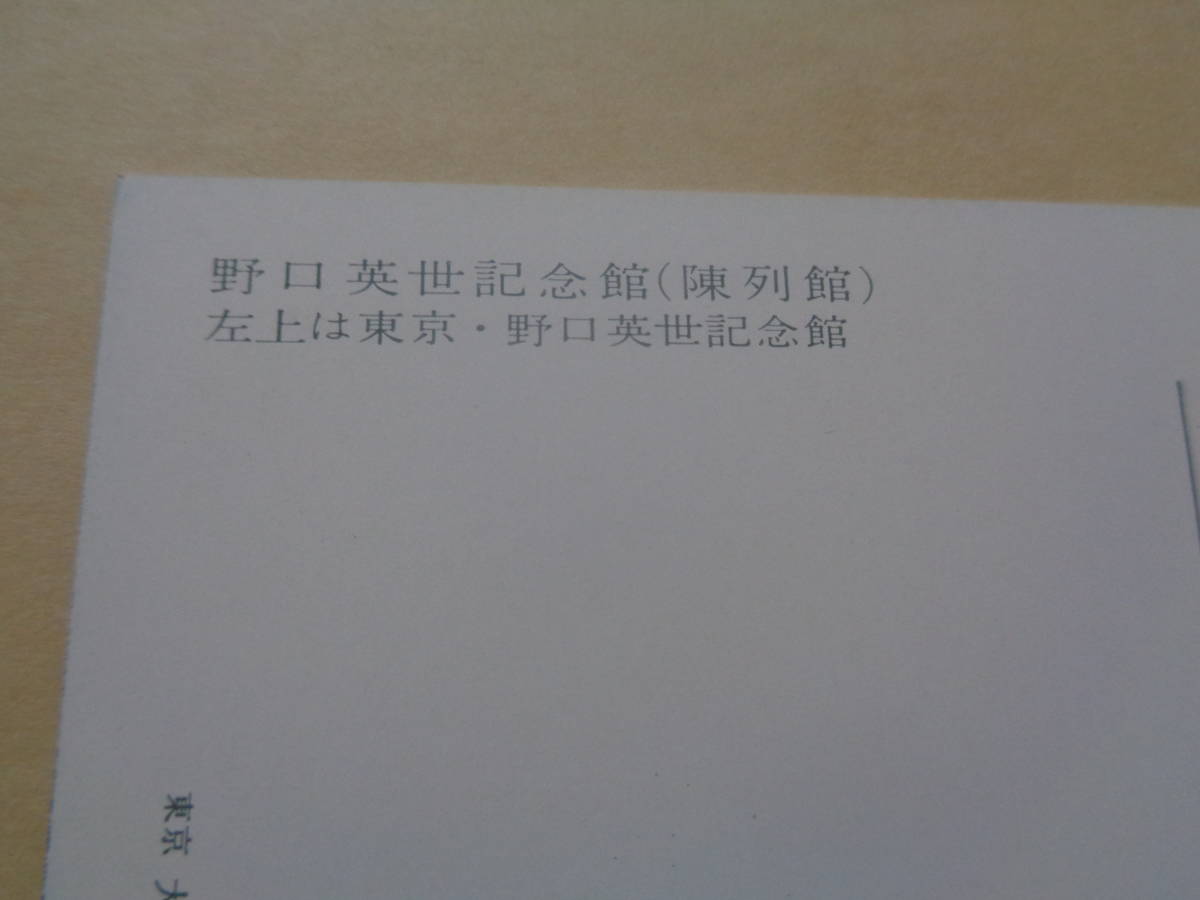 絵葉書　野口英世　野口英世記念館_画像3