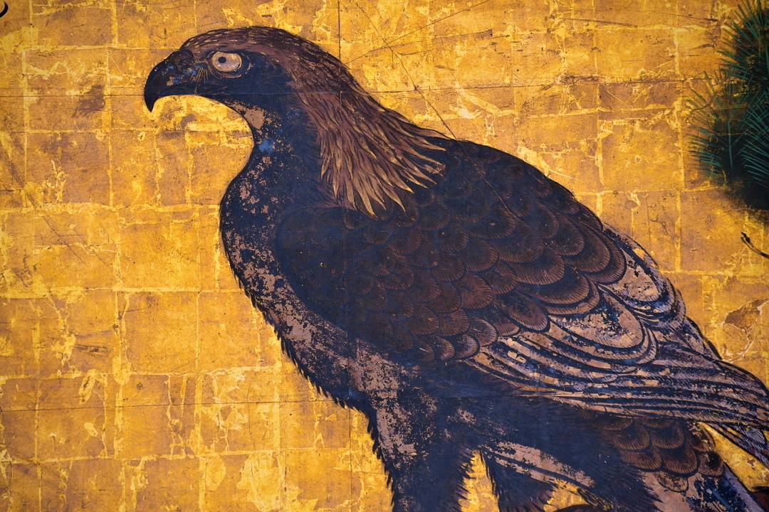 国宝複製 二条城 障壁画 掛け軸 狩野探幽 作-
