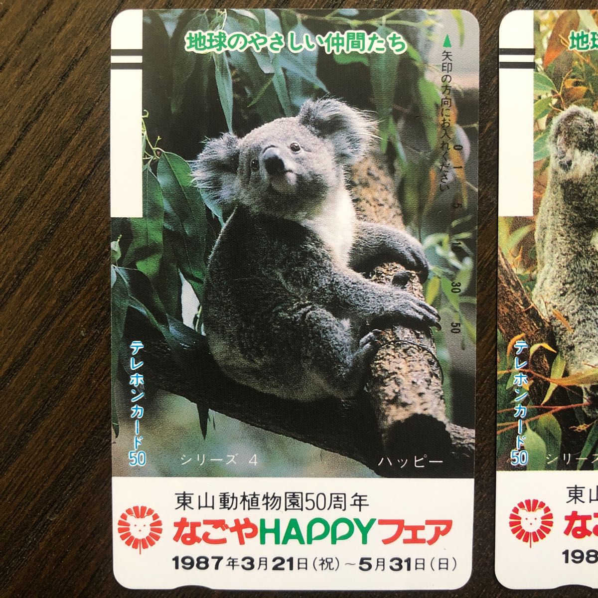 テレホンカード　なごやHAPPYフェア東山動植物園開園50周年記念