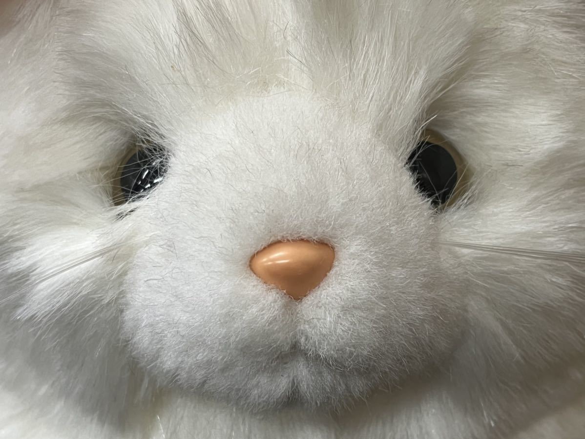 Yahoo!オークション - AVANCE アバンセ 猫 ねこ ネコ ぬいぐるみ Yahoo!オークション - AVANCE アバンセ 猫 ねこ ネコ ぬいぐるみ