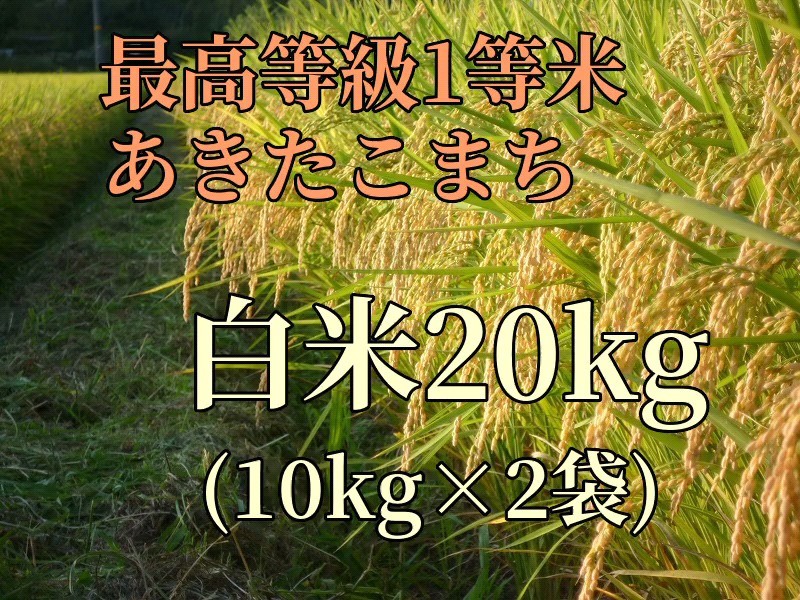 令和4年岡山県産 低農薬『れんげ緑肥栽培』『朝日米』玄米10キロ 送料