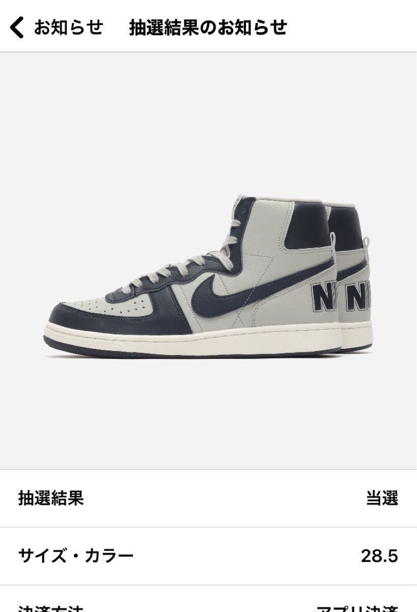 Nike Terminator High Georgetown  ナイキターミネーター