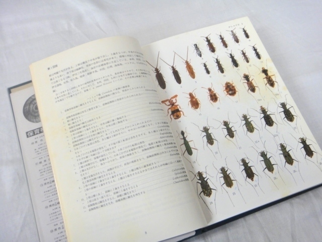 古本 原色日本甲虫図鑑 1～4の4冊 保育社 経年のシミ 変色ヤケ 角スレ