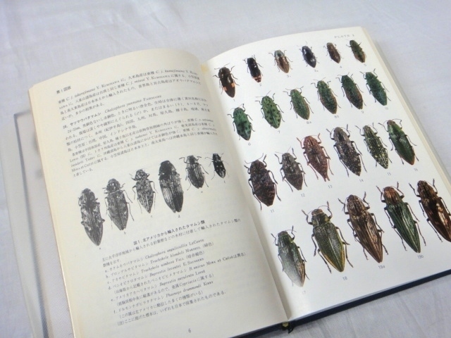 古本 原色日本甲虫図鑑 1～4の4冊 保育社 経年のシミ 変色ヤケ 角スレ