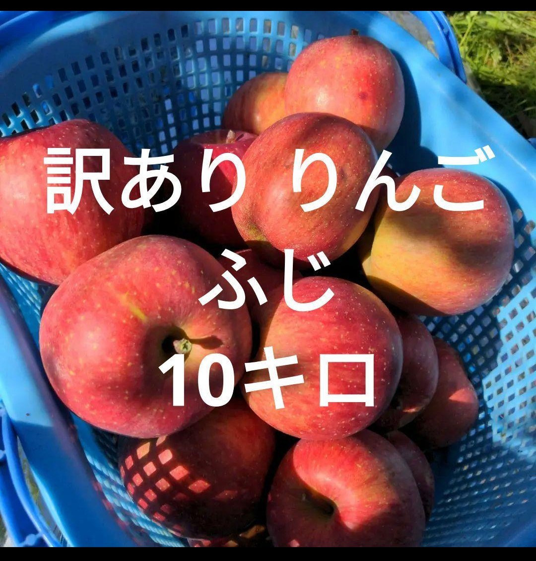 安曇野産　ふじ摘果リンゴ　約９kg