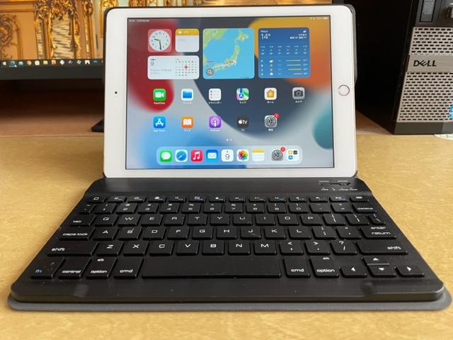 Apple iPad (第6世代) 32GB Wi-Fi+Cellular ゴールド ドコモ版 SIM