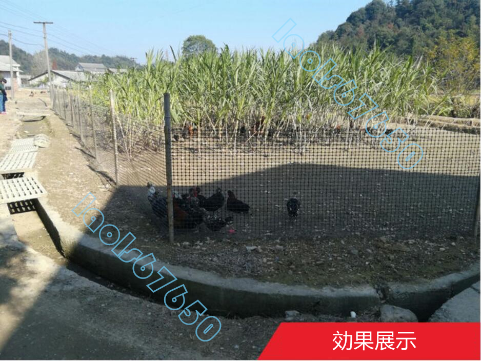  interactive foot pad segregation protection net plastic breeding for fencing net chicken a Hill fish . guard rail geo g lid 1.8M height 