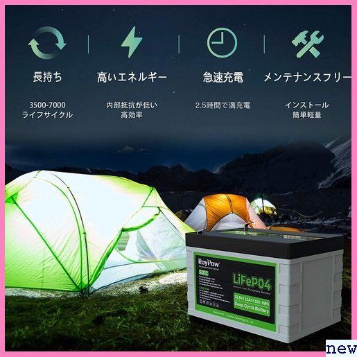 新品送料無料★yt RoyPow 魚群探知機、ソーラーシステム、UPSなどに対 RV リン酸鉄リチウムイオン 12Ah 12 42_画像6