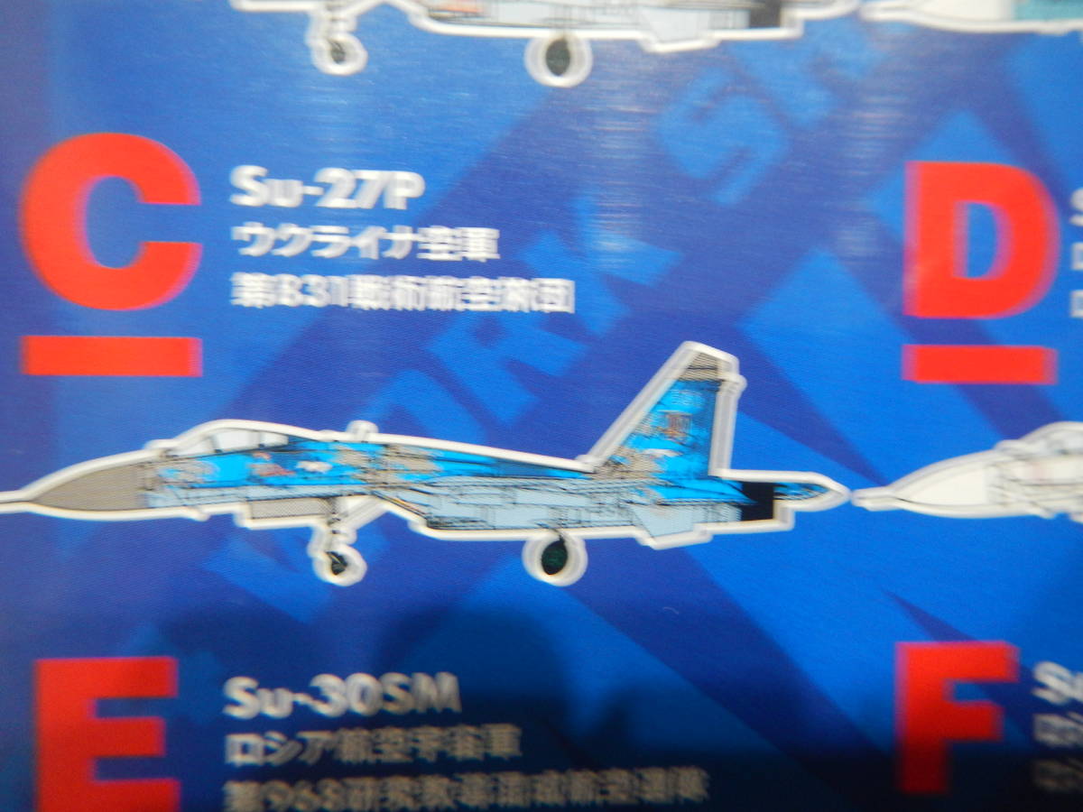 フランカーファミリー Su-27P　ウクライナ空軍第831戦術航空旅団_画像4