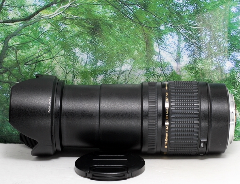 ❤手振れ補正する超便利な1本♪TAMRON 28-300mm canon用❤ | tspea.org