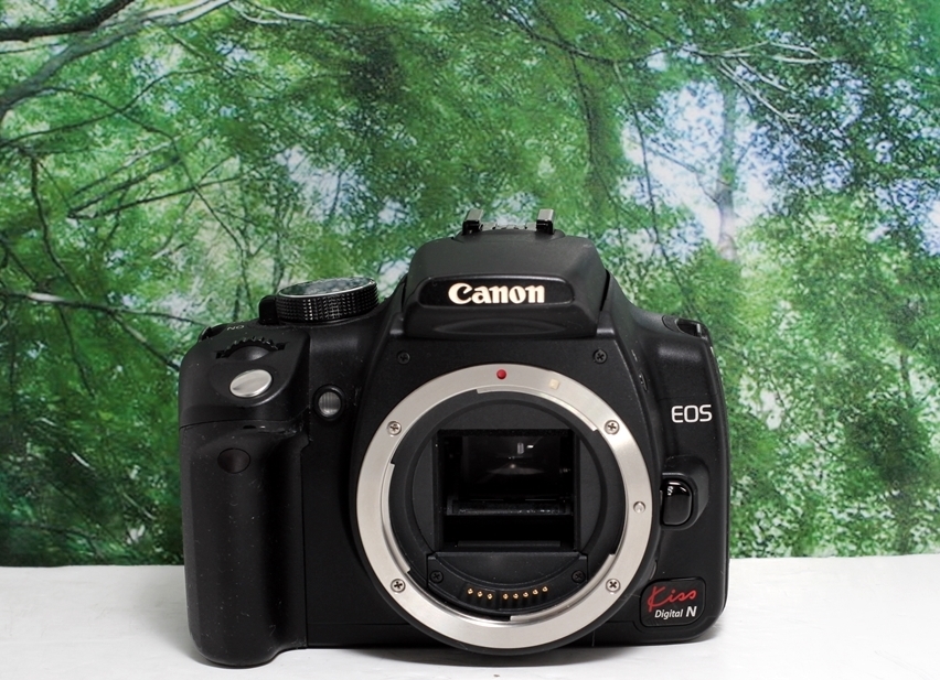 ☆wi-fi SD付☆超美品♪Canon Kiss N☆初心者向☆バッテリー.充電器