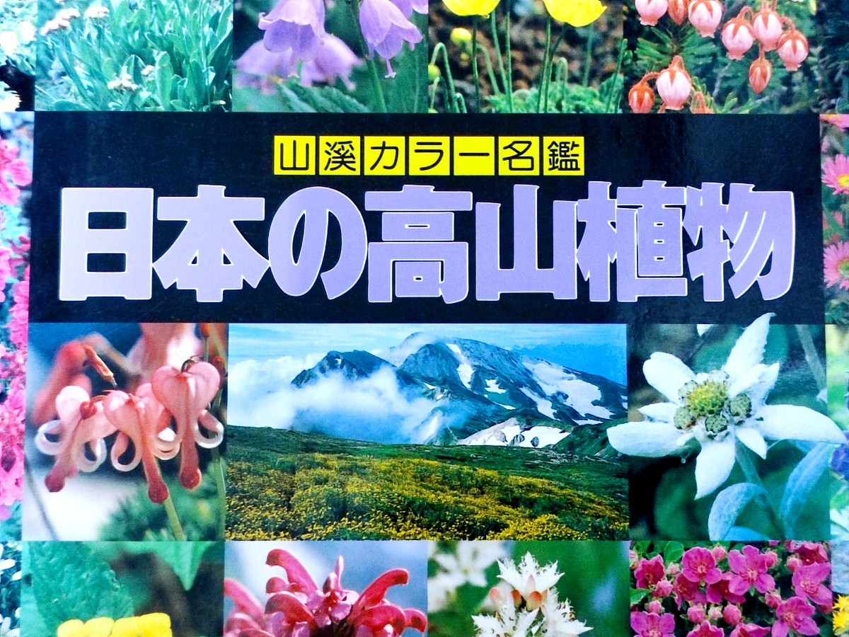 日本の高山植物　山渓カラー名鑑　山と渓谷社