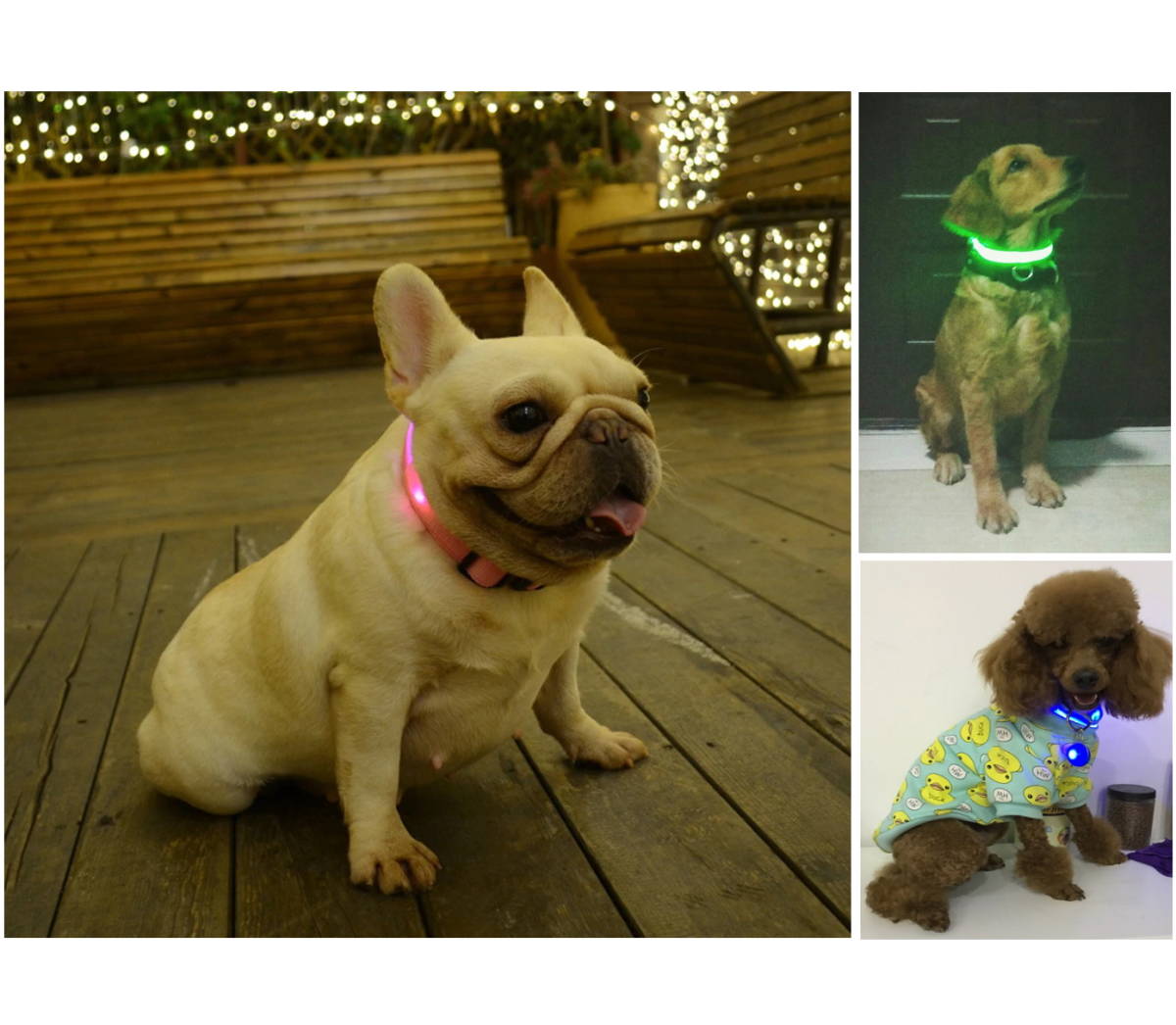 【ペット用品】光る首輪＊LEDブルーXS（USB充電式）犬・猫など＊ルミナスリング_画像7