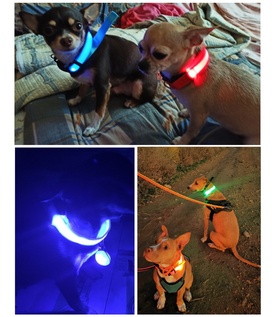 【ペット用品】光る首輪＊LEDブルーXS（USB充電式）犬・猫など＊ルミナスリング_画像8