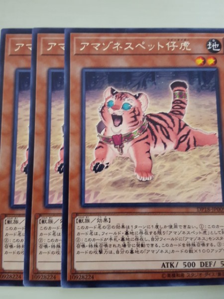 遊戯王 アマゾネスペット仔虎 レア 三枚 数量4_画像1