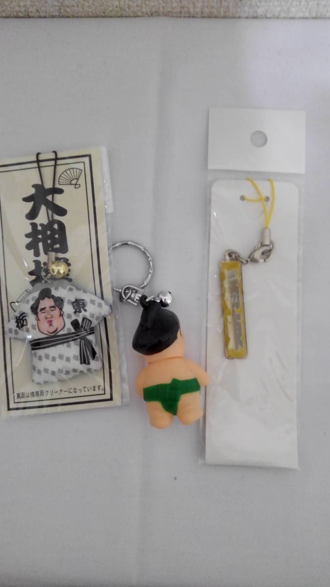 . higashi ( sphere no. parent person ) doll key holder . liquid crystal cleaner strap . name go in strap 