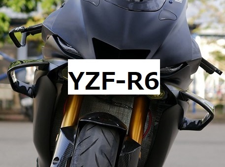 YZF-R6 YZF-R1 カーボン ウイングレット